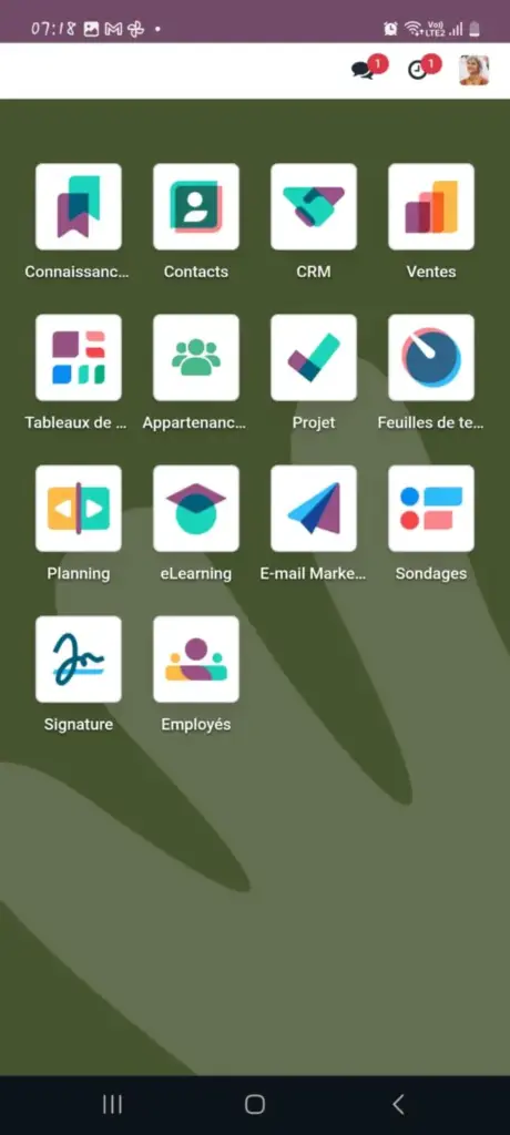 Installer Odoo sur Smartphone